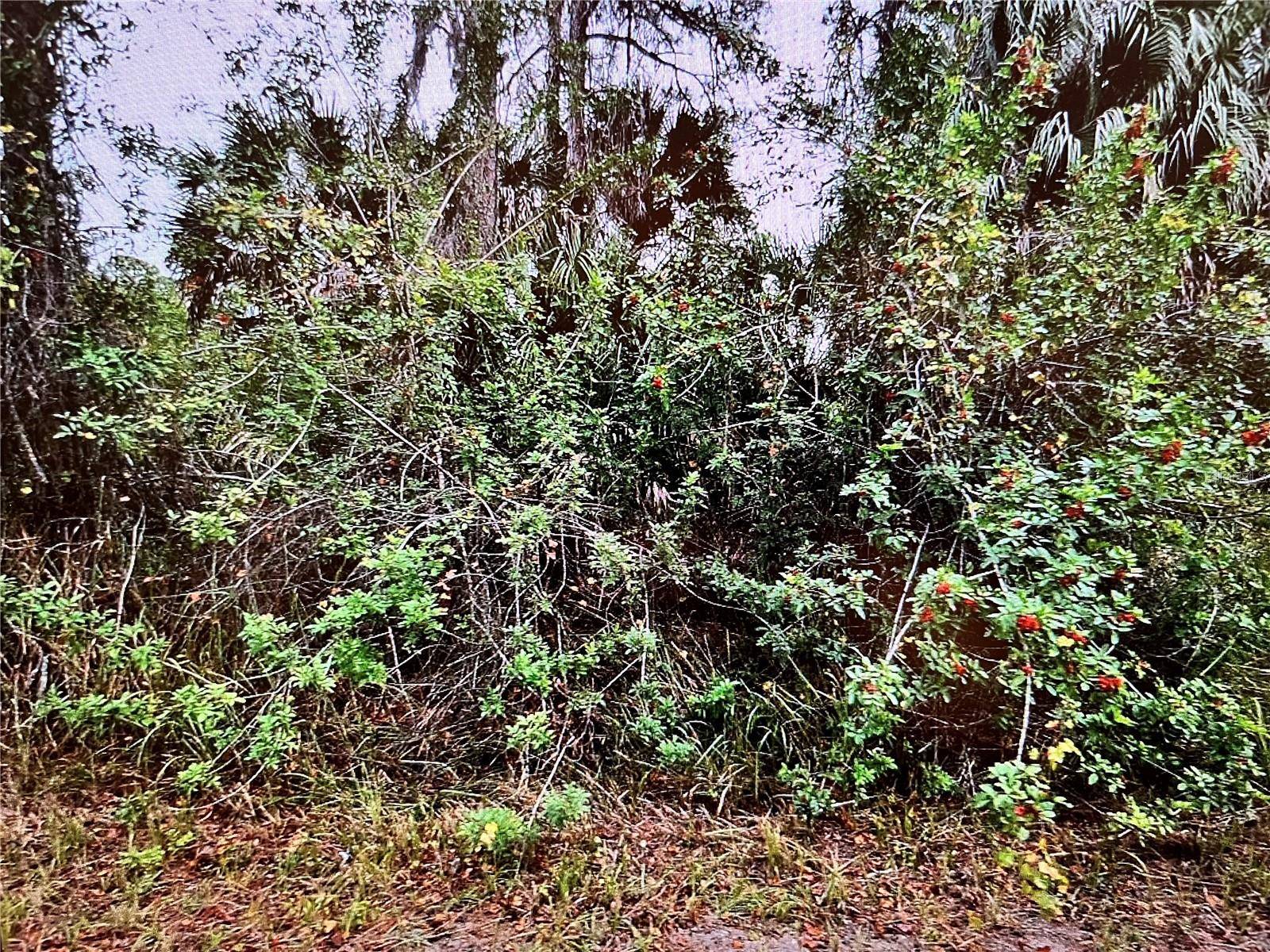LOT 24 CAMPBELL ST, North Port, FL 34288