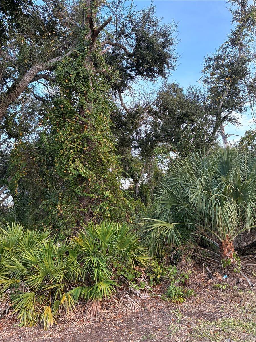 MENDAVIA TER, North Port, FL 34286