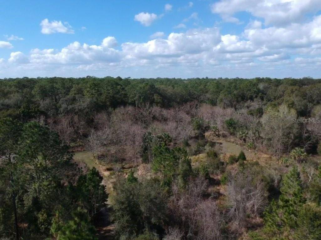 00 Crooked Mile RD, Paisley, FL 32767