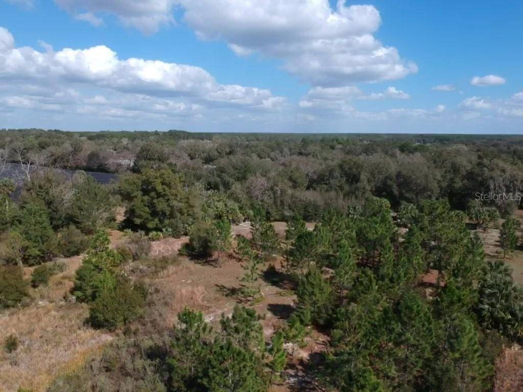 00 Crooked Mile RD, Paisley, FL 32767