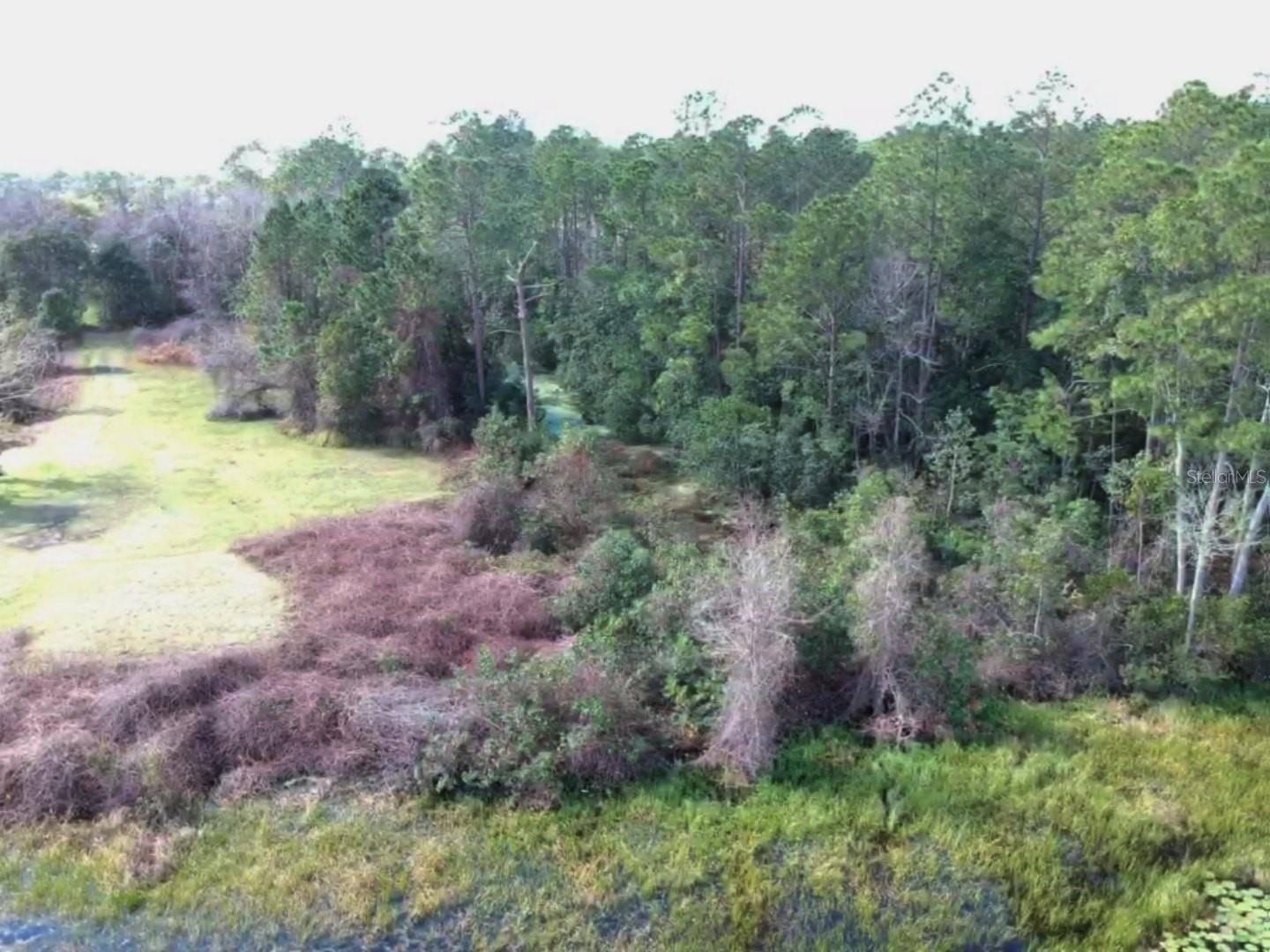 0 Gracie DR, Paisley, FL 32767