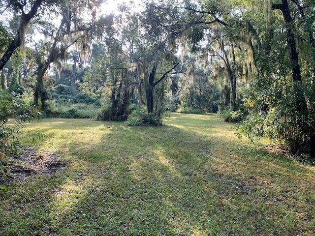 351 Palm AVE, Oak Hill, FL 32759