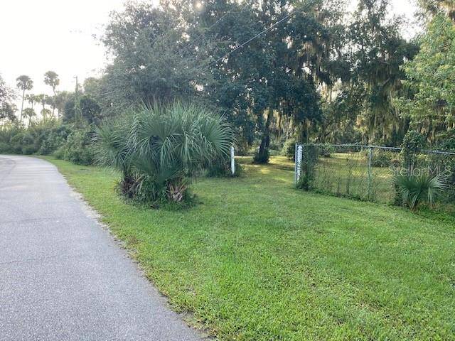351 Palm AVE, Oak Hill, FL 32759