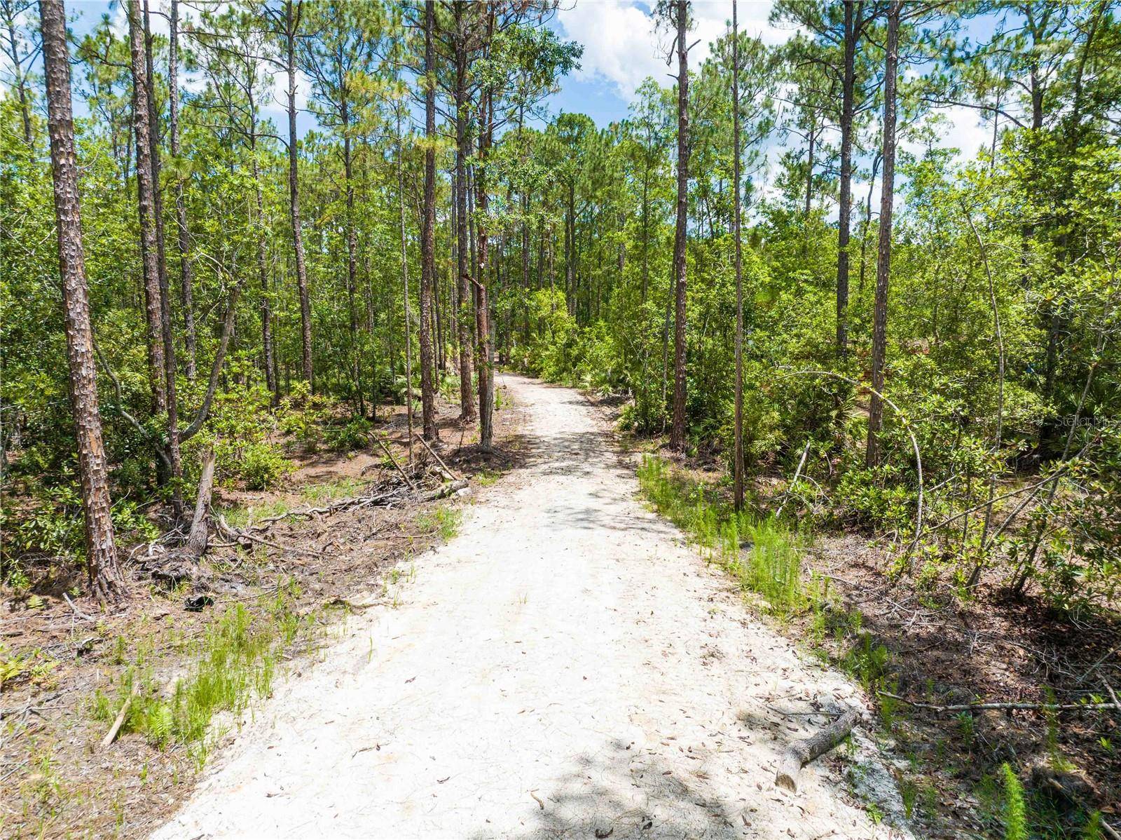 CEDAR RD, New Smyrna Beach, FL 32168