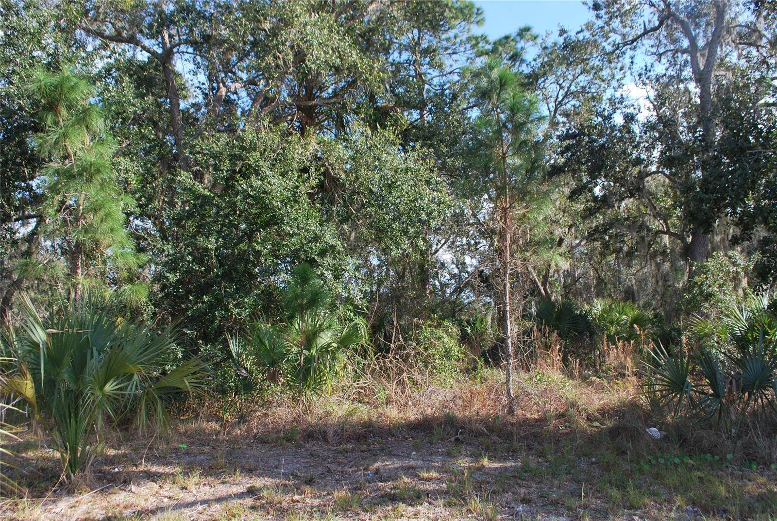 S RIDGEWOOD AVE, Edgewater, FL 32141