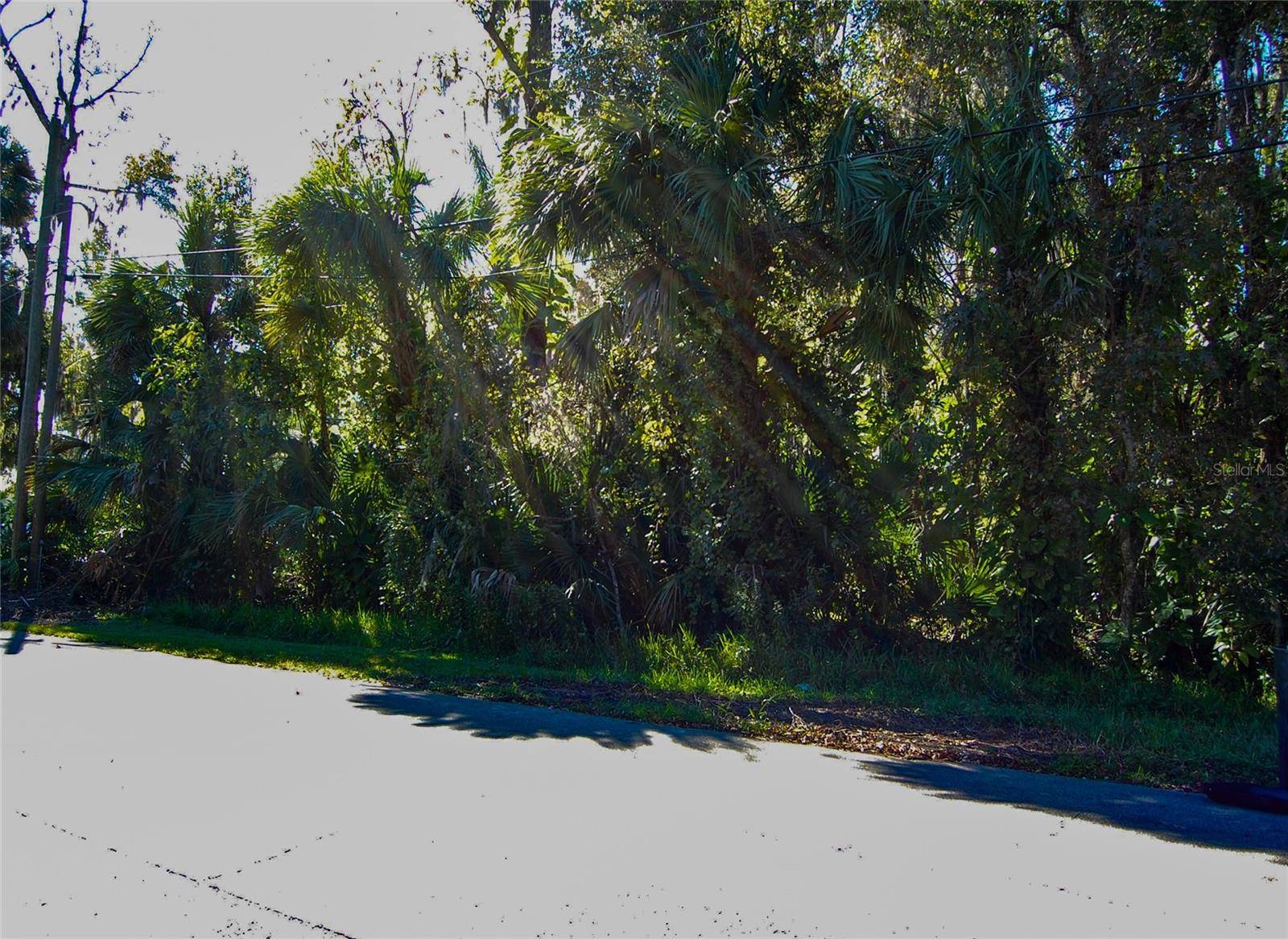 332 PATRICIA DR, New Smyrna Beach, FL 32168