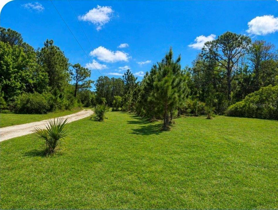 2625 GLENCOE FARMS RD, New Smyrna Beach, FL 32168