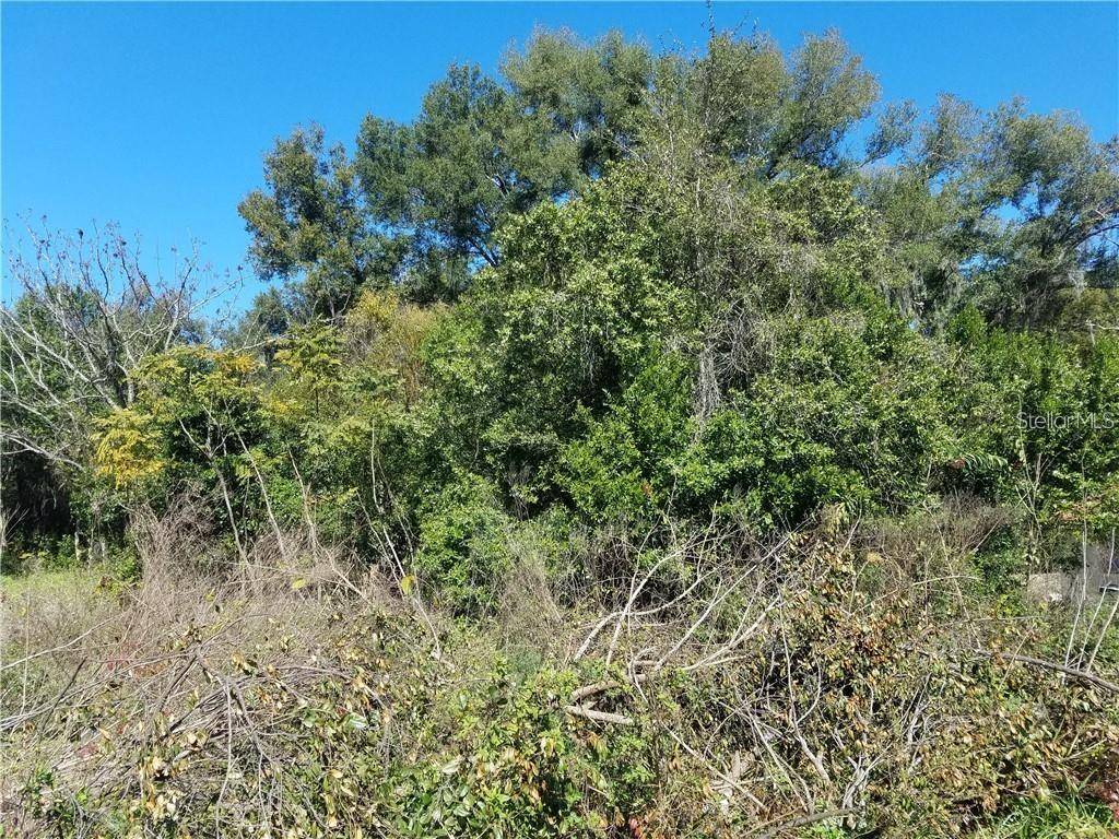 5 LENOX CT, Deland, FL 32720