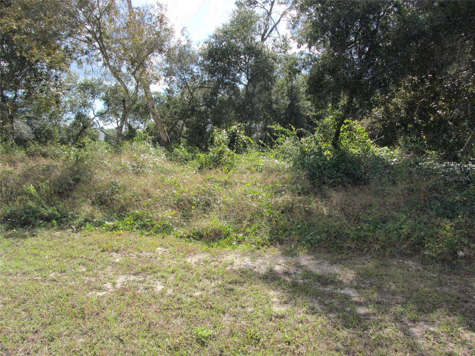 1684 CATALINA BLVD, Deltona, FL 32738