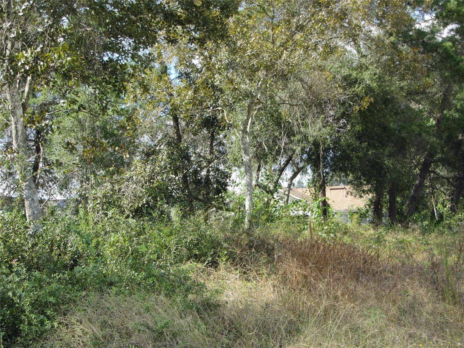 1684 CATALINA BLVD, Deltona, FL 32738