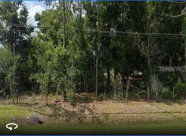 10336 BUCK RD, Orlando, FL 32817