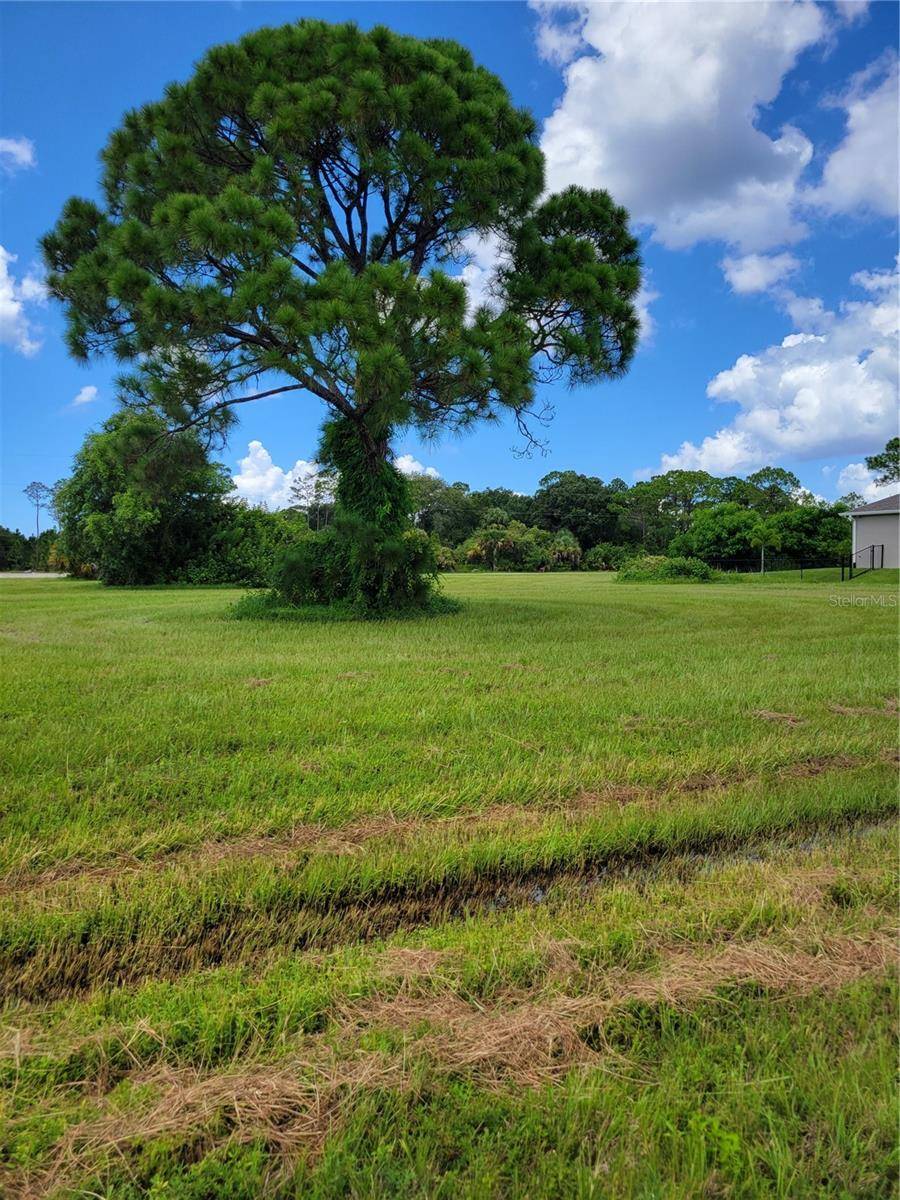 4142 NW 40TH AVE, Cape Coral, FL 33993