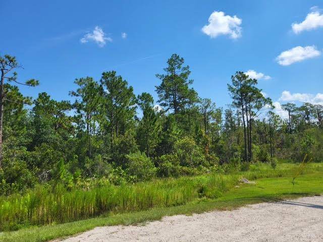 S APOPKA VINELAND, Orlando, FL 32821