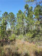 SALYERS RD, Clermont, FL 34714