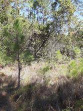 SALYERS RD, Clermont, FL 34714