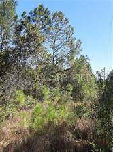 SALYERS RD, Clermont, FL 34714