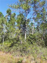 SALYERS RD, Clermont, FL 34714