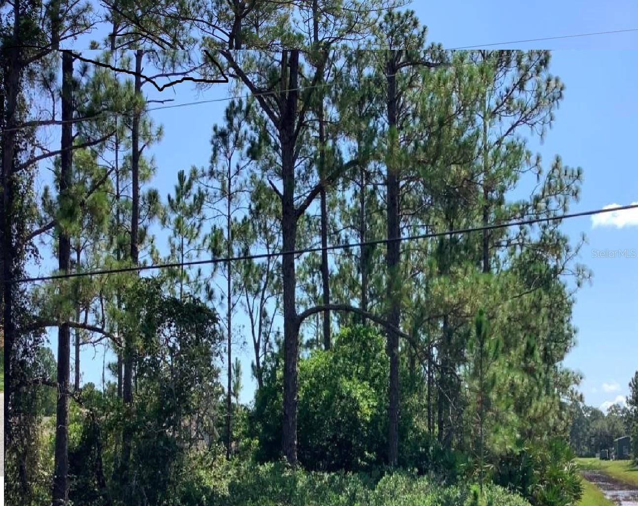 CAESAR AVE, Orlando, FL 32833