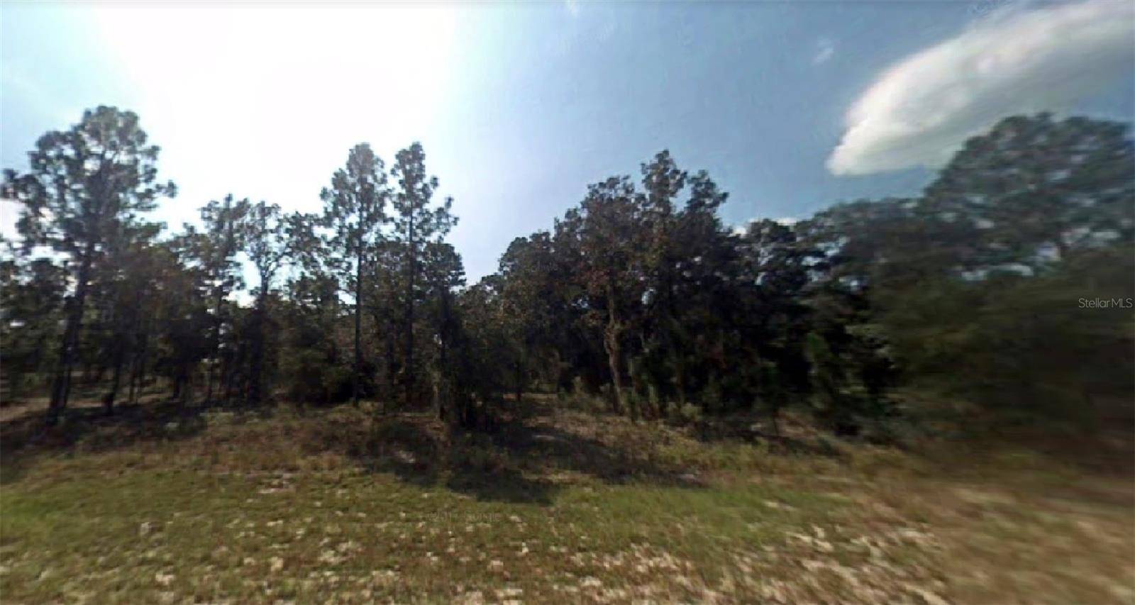 SE 129TH CT, Dunnellon, FL 34431