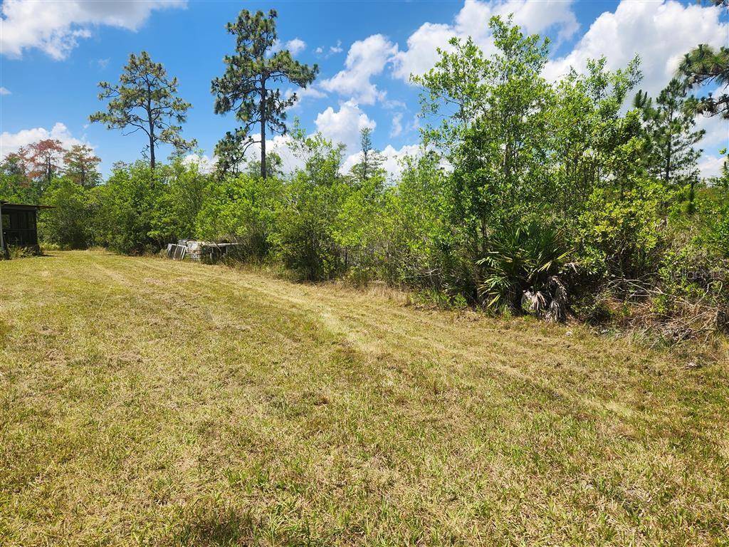 HOLOPAW GROVES RD, St Cloud, FL 34771