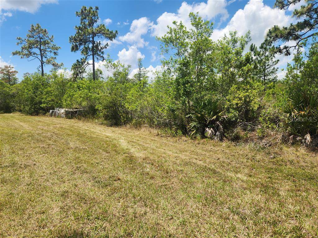 HOLOPAW GROVES RD, St Cloud, FL 34771