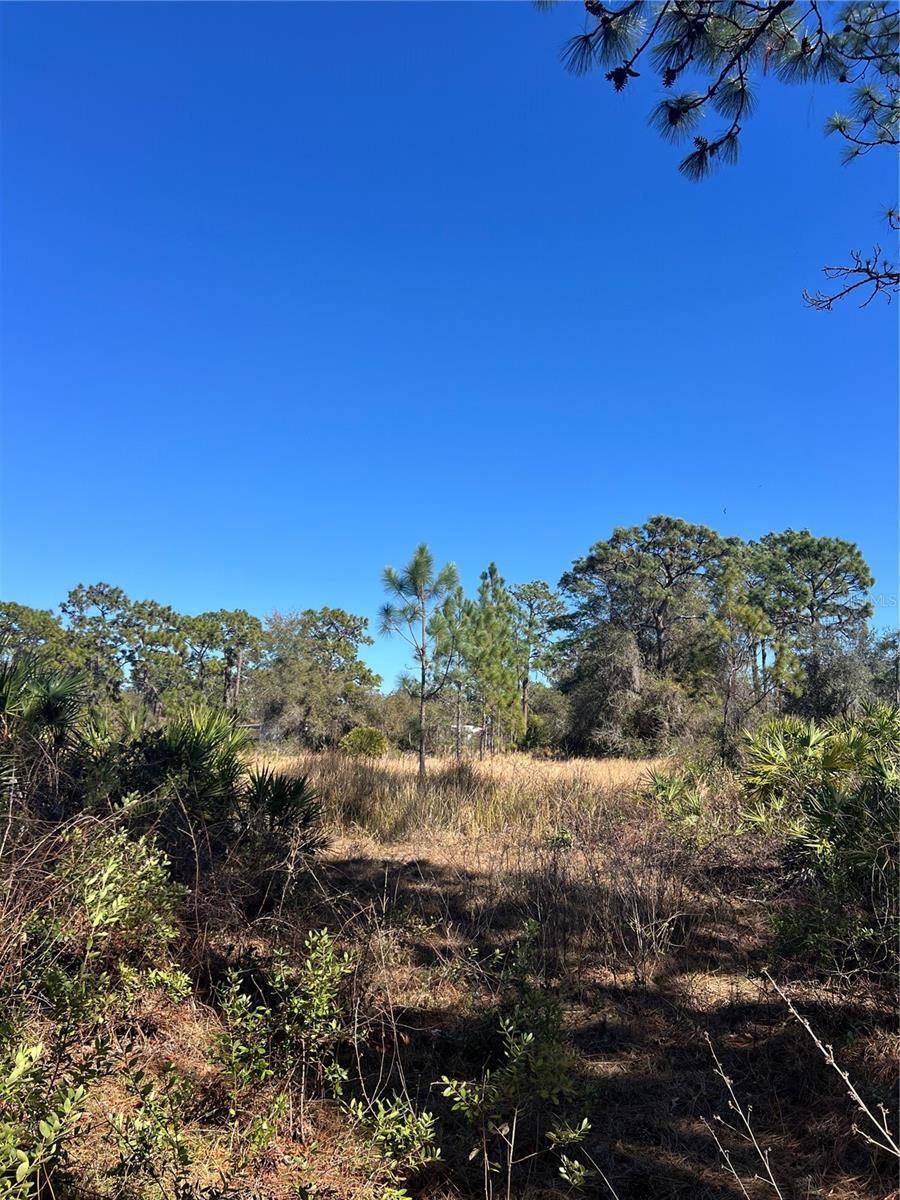 SHORE DR, Lake Wales, FL 33898