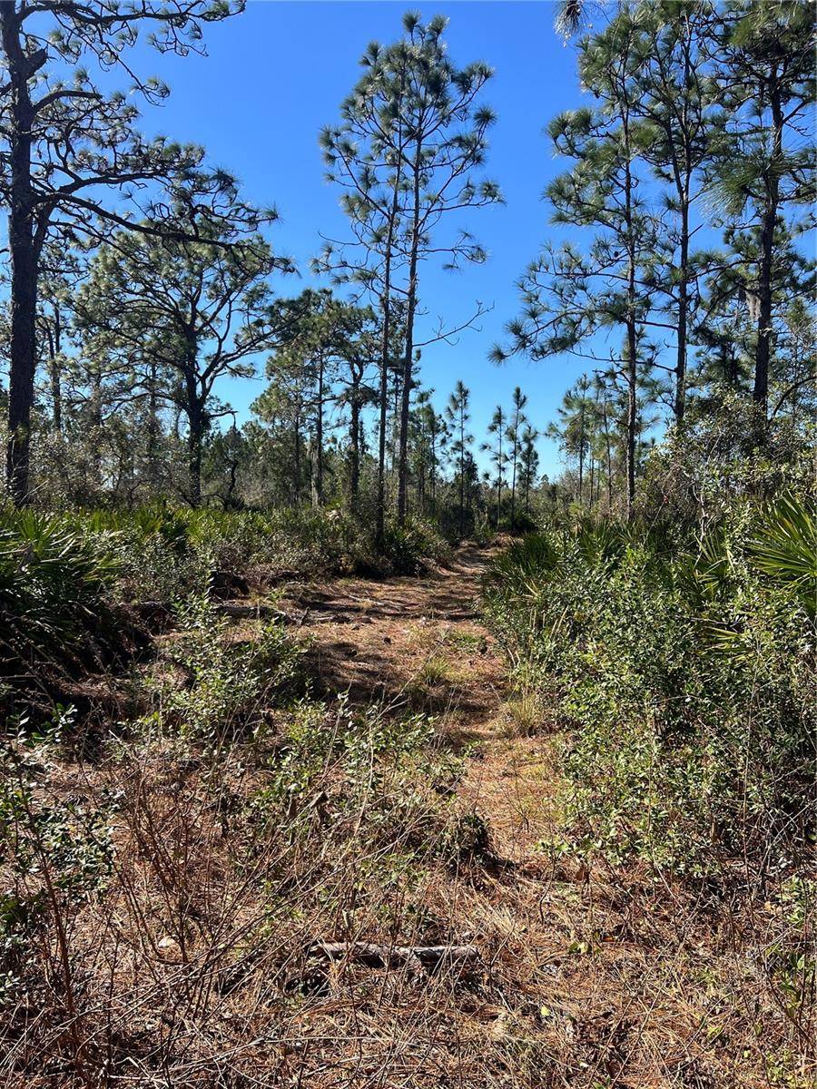 SHORE DR, Lake Wales, FL 33898