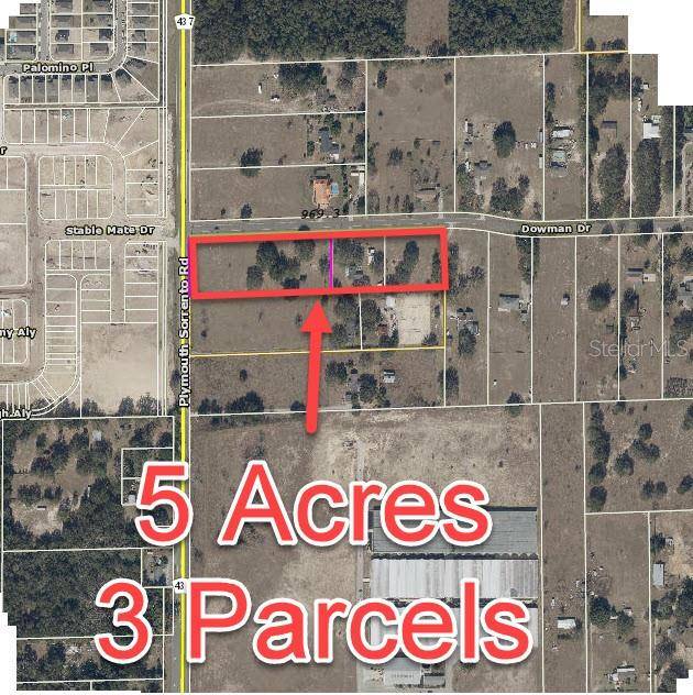 2864 DOWMAN DR, Apopka, FL 32712