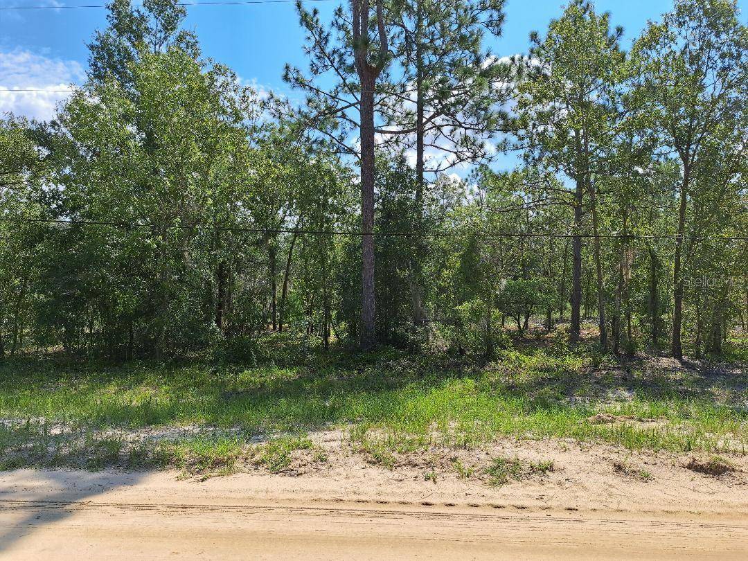 216 HIGHLAND DR, Hawthorne, FL 32640