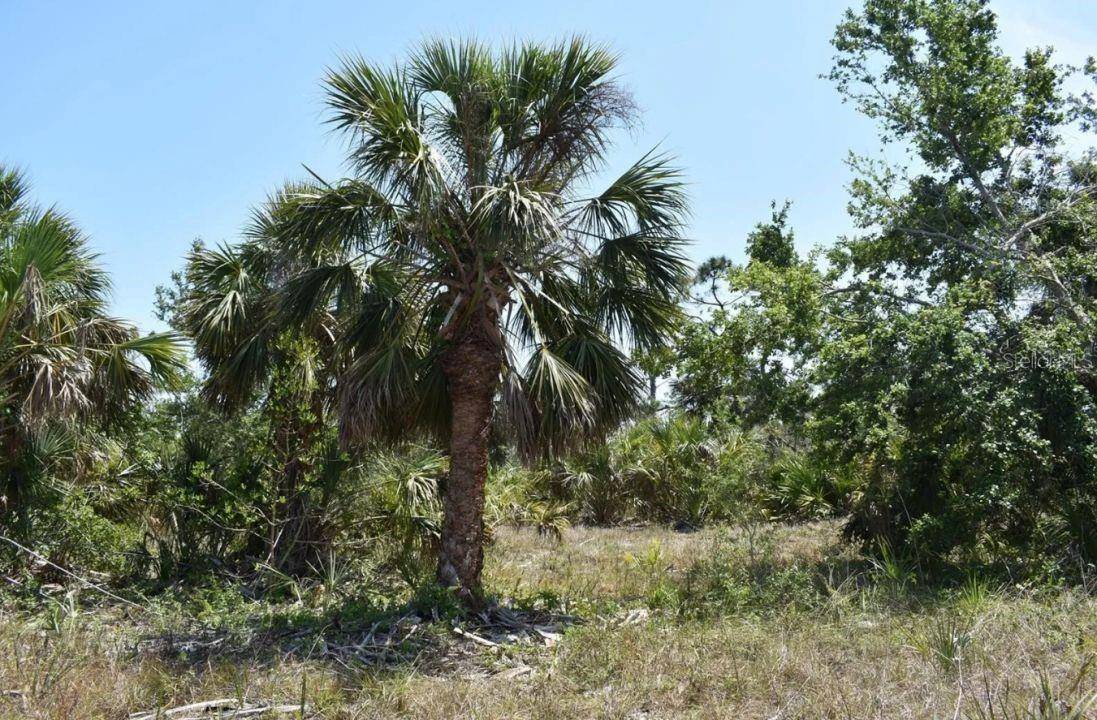 15189 AMSTERDAM AVE, Port Charlotte, FL 33981