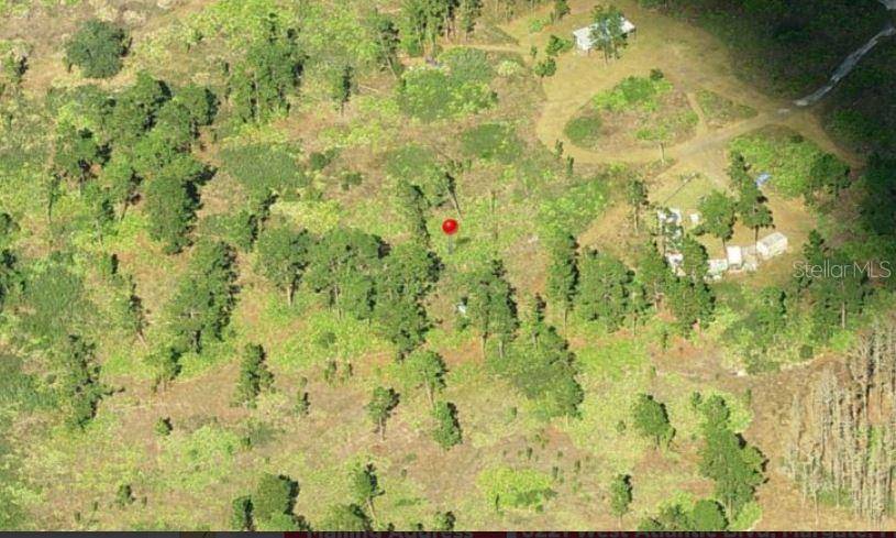 Address not disclosed, St Cloud, FL 34773