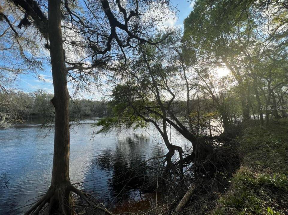 1263 NW 82ND TER, Bell, FL 32619