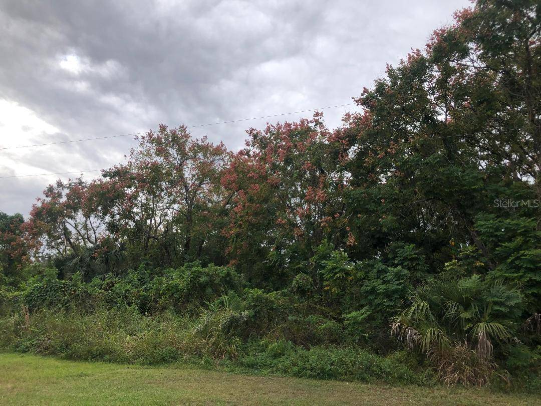 VIRGINIA DR, Altamonte Springs, FL 32714