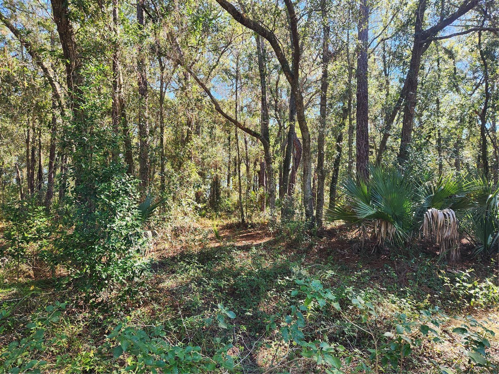 MARKHAM WOODS RD, Longwood, FL 32779
