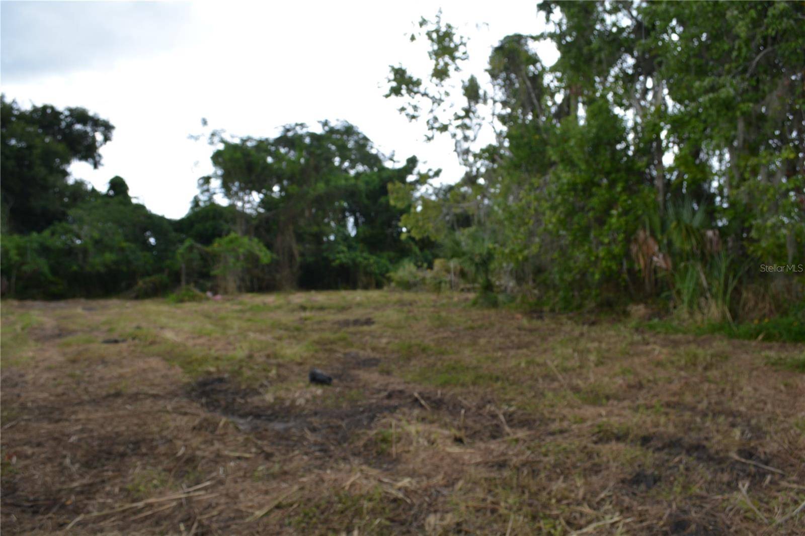 0 CHULUOTA ROAD, Oviedo, FL 32765