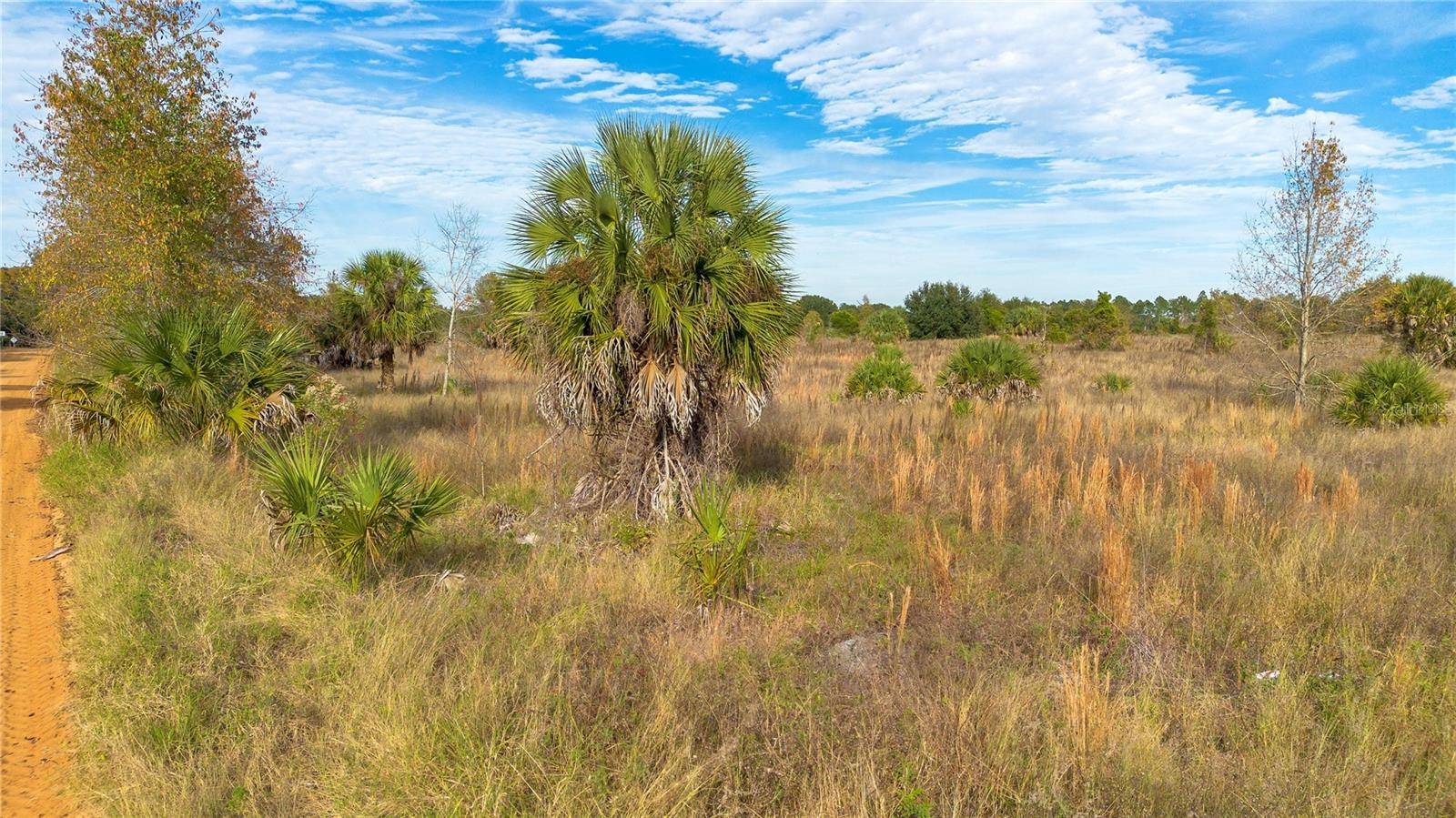 28432 S EICHELBERGER RD, Tavares, FL 32778