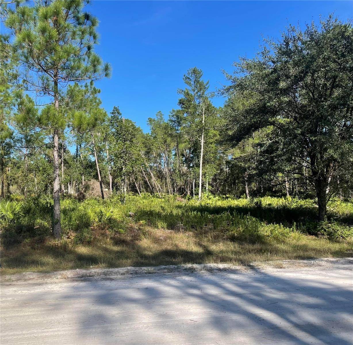 224 PLUMOSA DR, Georgetown, FL 32139