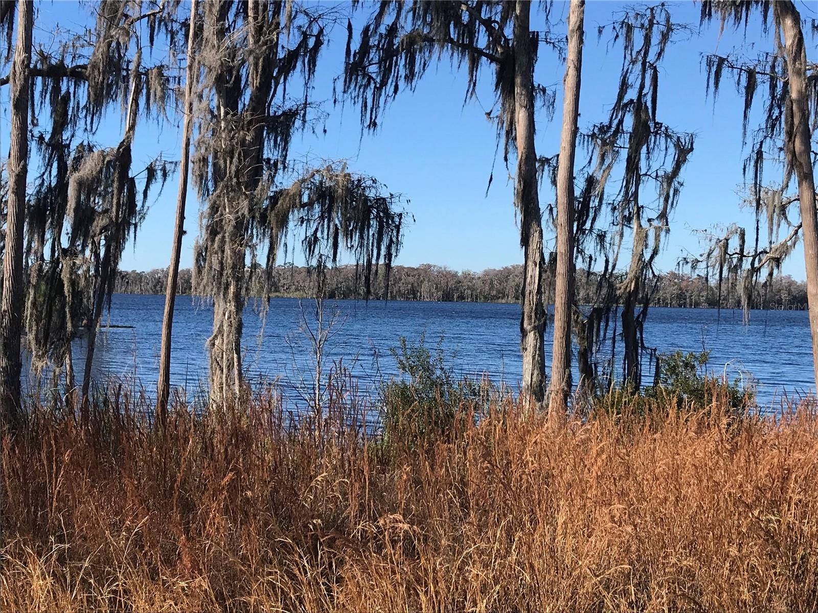 PARCEL 2 N FORT CHRISTMAS RD, Christmas, FL 32709