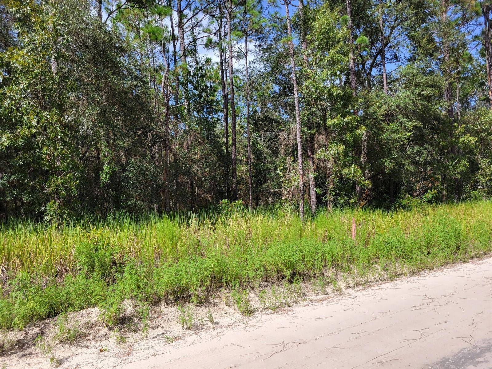 NE 78TH LN, Bronson, FL 32621