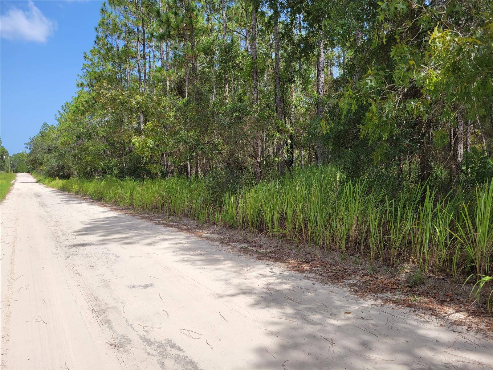 NE 78TH LN, Bronson, FL 32621