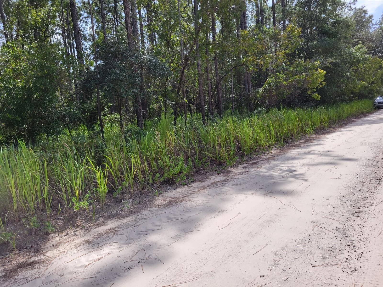 NE 78TH LN, Bronson, FL 32621