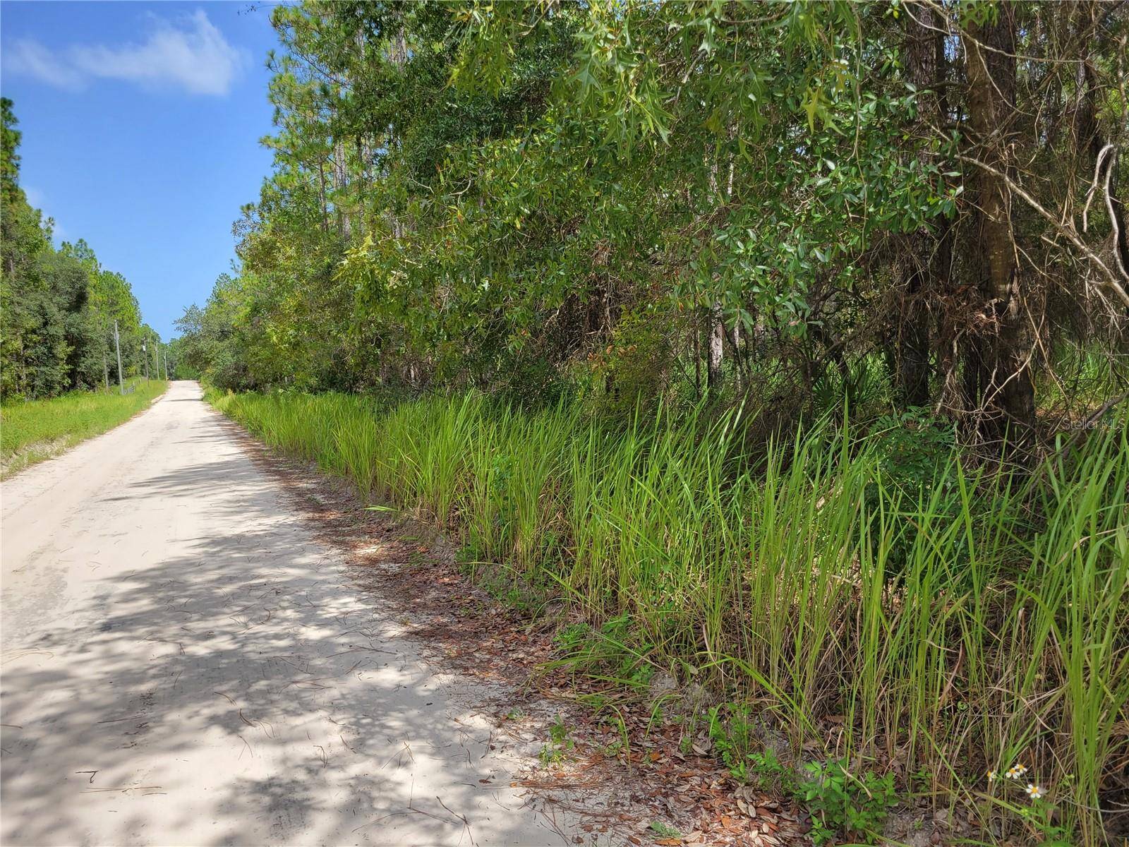 NE 78TH LN, Bronson, FL 32621