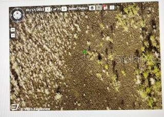 NA, Deland, FL 32724