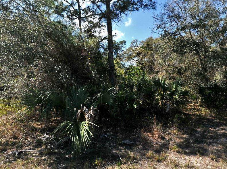 NOME AVE, North Port, FL 34288
