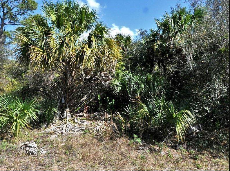 NORTON DR, North Port, FL 34288