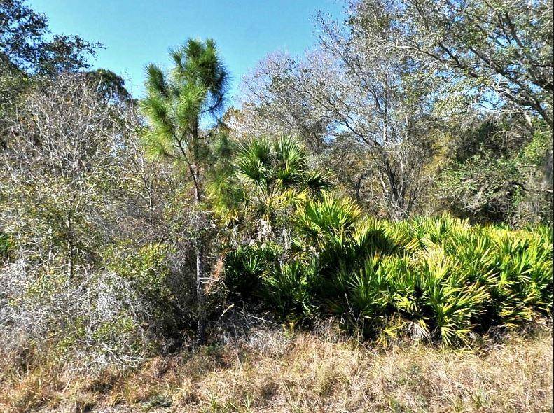 NORTON DR, North Port, FL 34288