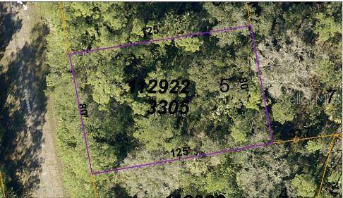 HAVEMEYER ST, North Port, FL 34288