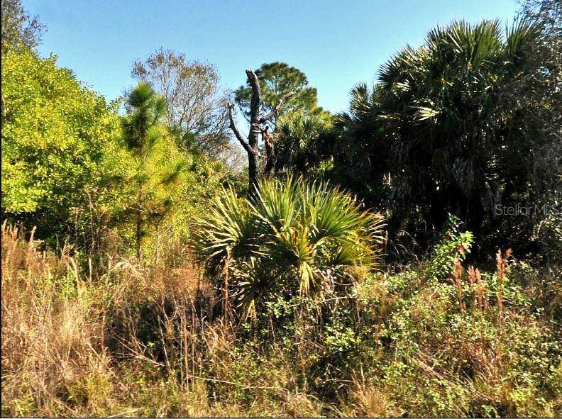 FIVELEAF RD, North Port, FL 34288