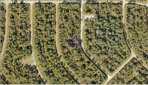 BUTTON ST, North Port, FL 34288