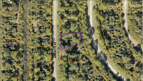 ANNATTO ST, North Port, FL 34288